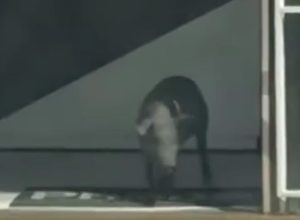 noticias de itamarandiba