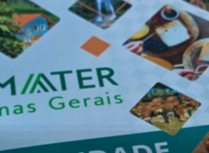 CAPA - Gazeta dos Vales (34)