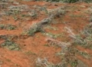 CAPA - Gazeta dos Vales (4)