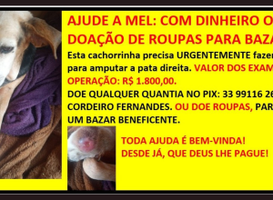 CAPA - Gazeta dos Vales (49)