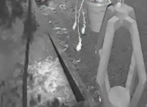 CAPA - Gazeta dos Vales (50)