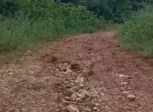 noticias de chapada do norte