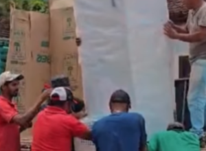 CAPA - Gazeta dos Vales (54)