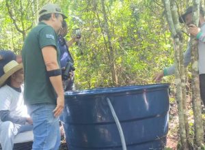 noticias de setubinha