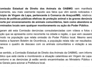 CAPA - Gazeta dos Vales (7)