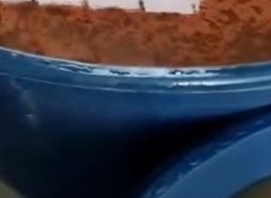 noticias de novo cruzeiro